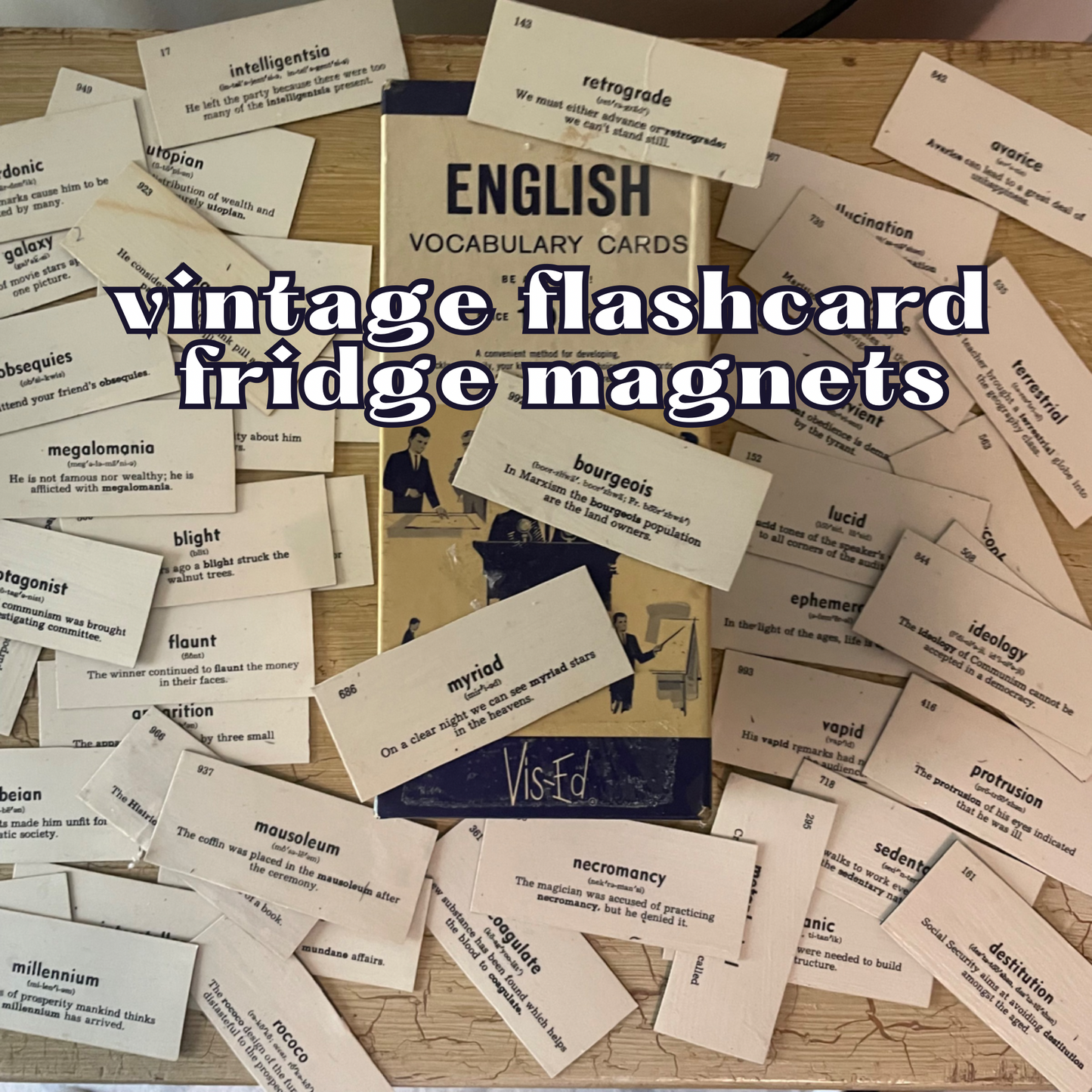 1950s Vocabulary Words Fridge Magnets